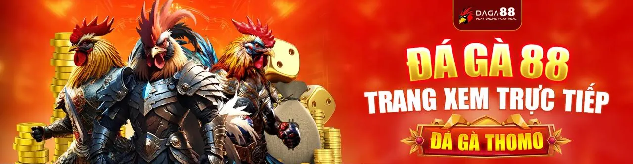 Sân đá gà trực tuyến sôi động tại qq188 link